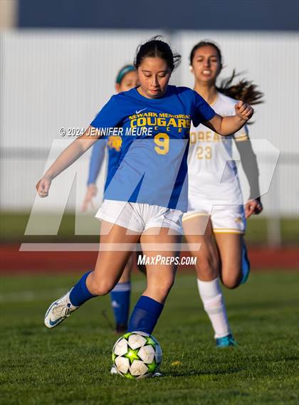 Thumbnail 1 in Moreau Catholic @ Newark Memorial photogallery.