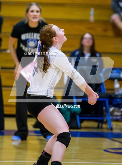 Thumbnail 3 in Cornwall Central vs. Wallkill (Section 9 Class A Final) photogallery.