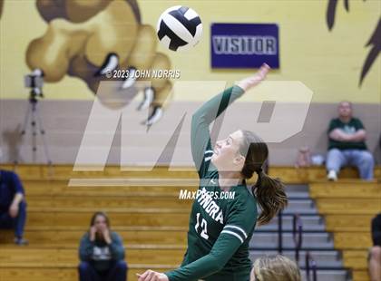 Thumbnail 3 in Tinora @ Leo photogallery.