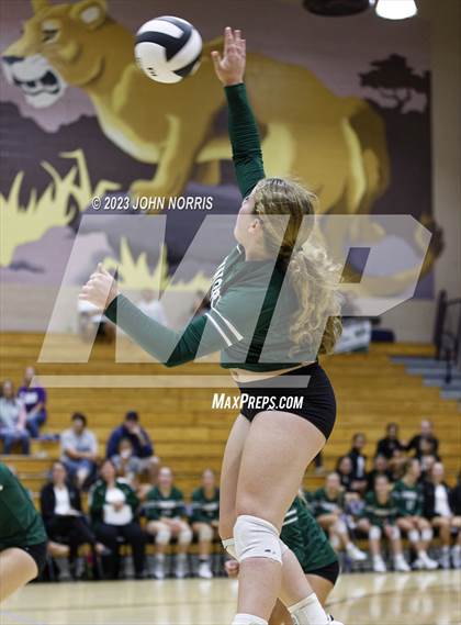 Thumbnail 2 in Tinora @ Leo photogallery.