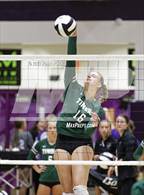 Photo from the gallery "Tinora @ Leo"