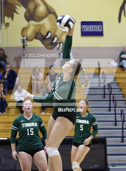 Thumbnail 3 in Tinora @ Leo photogallery.