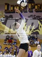 Photo from the gallery "Tinora @ Leo"