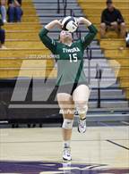 Photo from the gallery "Tinora @ Leo"