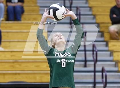 Thumbnail 2 in Tinora @ Leo photogallery.