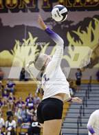 Photo from the gallery "Tinora @ Leo"