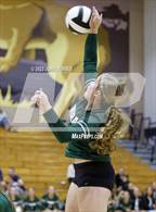 Photo from the gallery "Tinora @ Leo"