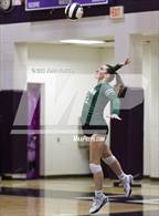 Photo from the gallery "Tinora @ Leo"