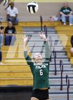Photo from the gallery "Tinora @ Leo"