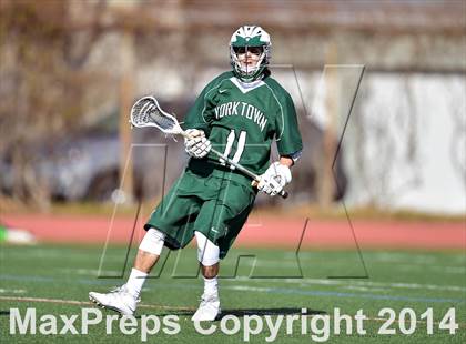 Thumbnail 2 in Yorktown @ Bronxville photogallery.