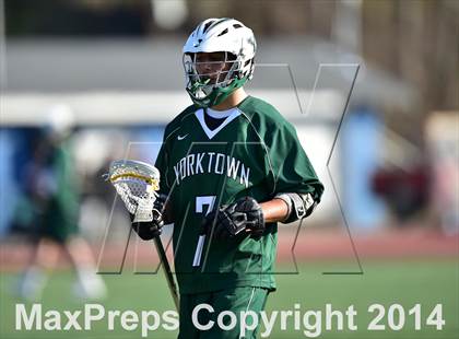 Thumbnail 2 in Yorktown @ Bronxville photogallery.