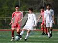 Photo from the gallery "Redmond @ Newport - Bellevue"