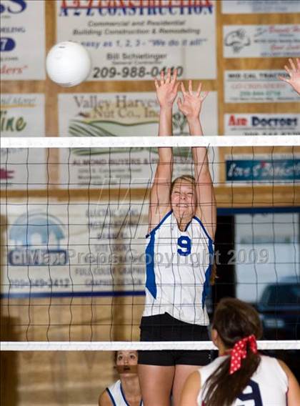 Thumbnail 3 in Amador @ Modesto Christian photogallery.