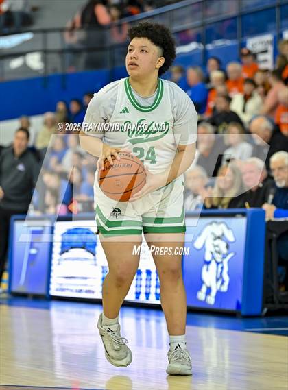 Thumbnail 1 in Hamilton Southeastern vs. Valparaiso (IHSAA 4A Semi State)  photogallery.