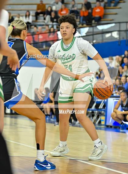 Thumbnail 1 in Hamilton Southeastern vs. Valparaiso (IHSAA 4A Semi State)  photogallery.