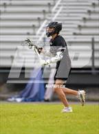 Photo from the gallery "Wakefield @ Athens Drive"