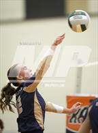 Photo from the gallery "James Wood @ Kettle Run"