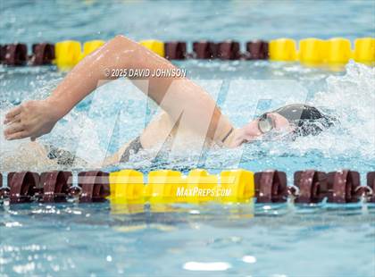 Thumbnail 3 in Fossil Ridge @ Windosr photogallery.