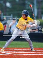 Photo from the gallery "Cape Fear @ South View"