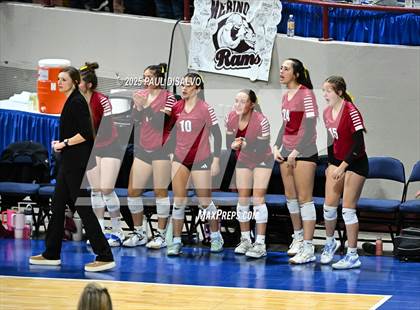 Thumbnail 1 in Merino vs. Fleming. (CHSAA 1A Semi-Final) photogallery.