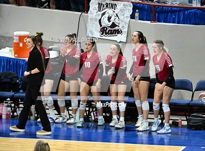 Thumbnail 3 in Merino vs. Fleming. (CHSAA 1A Semi-Final) photogallery.