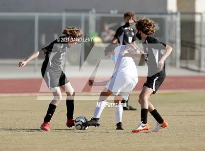 Thumbnail 2 in Chaparral @ Hamilton photogallery.