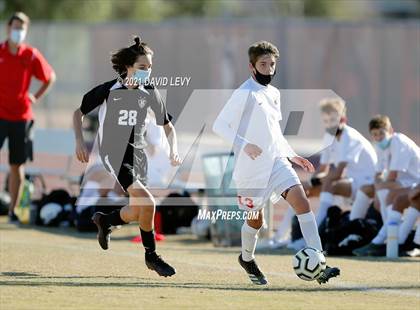 Thumbnail 2 in Chaparral @ Hamilton photogallery.