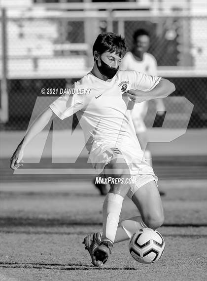 Thumbnail 1 in Chaparral @ Hamilton photogallery.