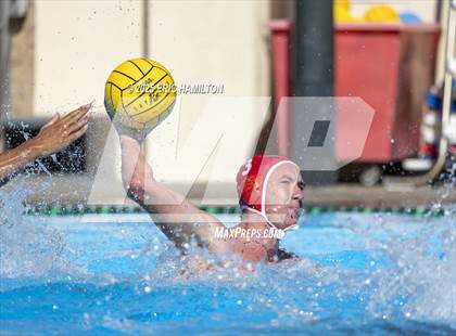 Thumbnail 3 in Cathedral Catholic vs Sacred Heart Prep (Elite 8 Tournament) photogallery.