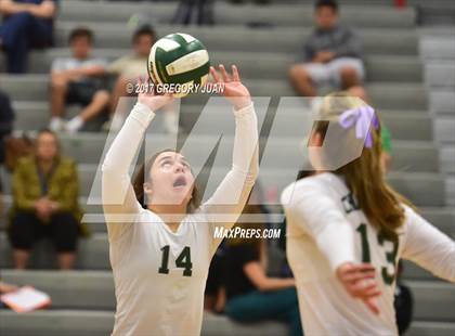 Thumbnail 3 in Slidell @ Archbishop Chapelle photogallery.