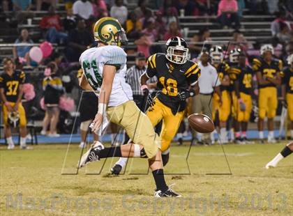 Thumbnail 3 in Grayson @ Central Gwinnett  photogallery.