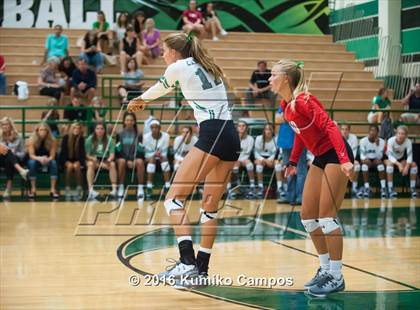 Thumbnail 3 in Carroll vs. Pearce photogallery.
