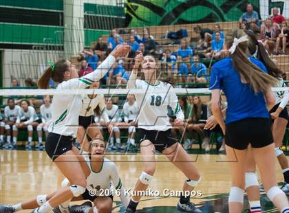 Thumbnail 2 in Carroll vs. Pearce photogallery.