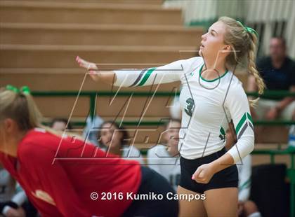 Thumbnail 3 in Carroll vs. Pearce photogallery.