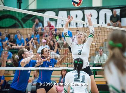 Thumbnail 2 in Carroll vs. Pearce photogallery.