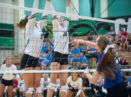 Thumbnail 1 in Carroll vs. Pearce photogallery.