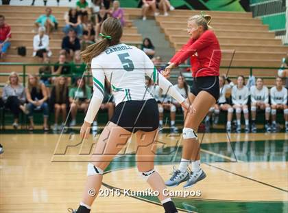 Thumbnail 3 in Carroll vs. Pearce photogallery.