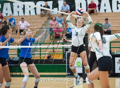 Thumbnail 3 in Carroll vs. Pearce photogallery.
