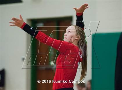 Thumbnail 1 in Carroll vs. Pearce photogallery.