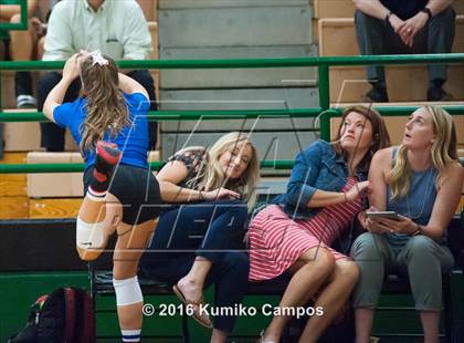 Thumbnail 3 in Carroll vs. Pearce photogallery.