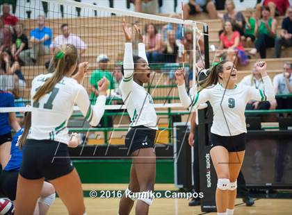 Thumbnail 2 in Carroll vs. Pearce photogallery.