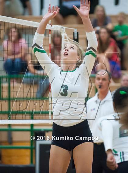 Thumbnail 1 in Carroll vs. Pearce photogallery.