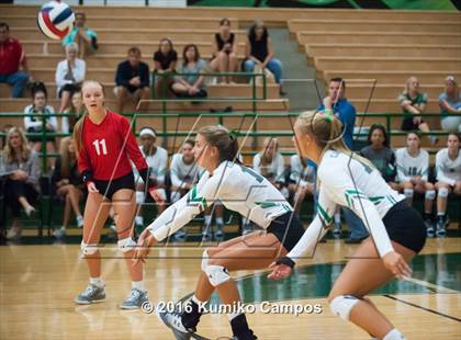 Thumbnail 3 in Carroll vs. Pearce photogallery.