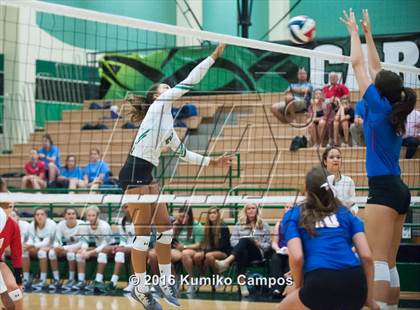 Thumbnail 1 in Carroll vs. Pearce photogallery.