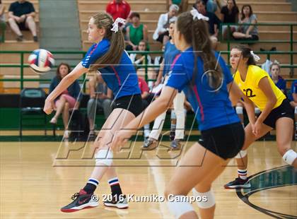 Thumbnail 3 in Carroll vs. Pearce photogallery.