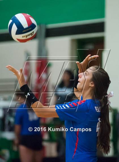 Thumbnail 3 in Carroll vs. Pearce photogallery.