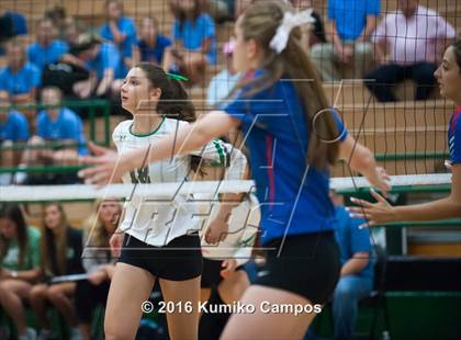 Thumbnail 3 in Carroll vs. Pearce photogallery.