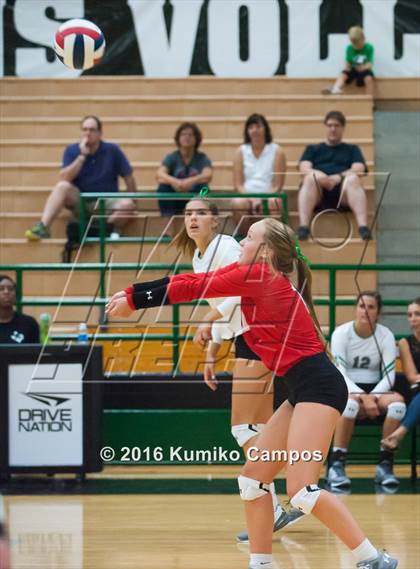 Thumbnail 2 in Carroll vs. Pearce photogallery.