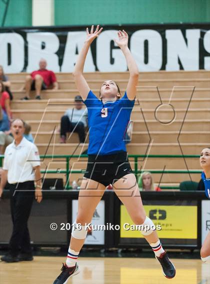 Thumbnail 1 in Carroll vs. Pearce photogallery.