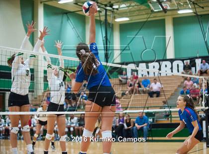 Thumbnail 1 in Carroll vs. Pearce photogallery.